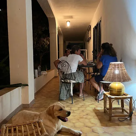 Letizia & Appartement *